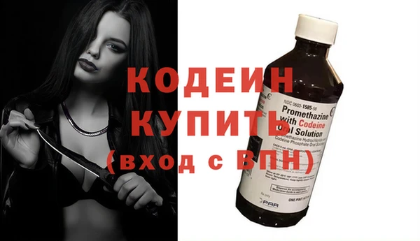 хмурый Липки