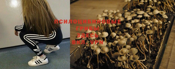 таблы Лиски