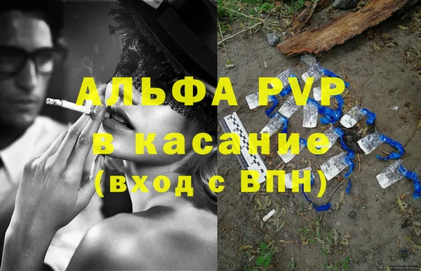 хмурый Липки