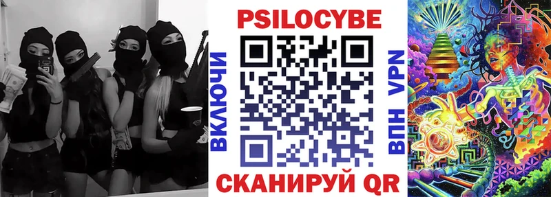 Купить где  Бавлы  Галлюциногенные грибы GOLDEN TEACHER 